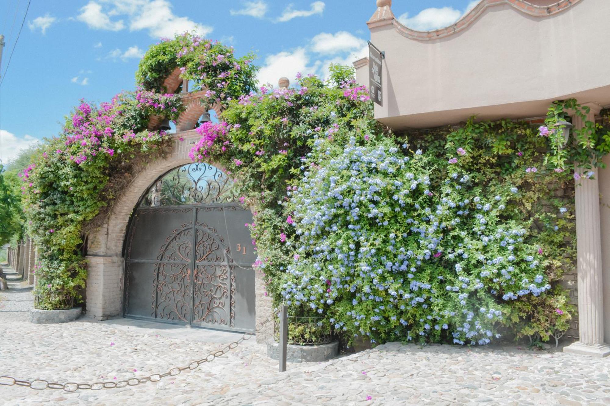 Casa Las Palmas, San Miguel De Allende Cieneguita Zewnętrze zdjęcie
